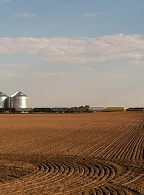 Grain Transloading Facility